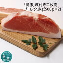 【ふるさと納税】豚肉 1kg ブロック 500g × 2 皮付き 二枚肉 肉 島豚 奄美大島産 角煮 焼肉 BBQ 煮込み料理 ぷるぷる 甘い 脂身 とろける 柔らかい 個包装 おすすめ お取り寄せ お取り寄せグルメ 食品 冷凍 送料無料