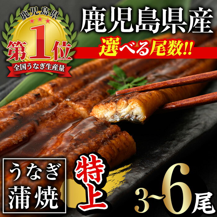 【ふるさと納税】＜尾数が選べる！＞無投薬！鹿児島県産うなぎ蒲焼セット＜特上＞(計480g以上〜計960g以上・ 160g以上×3尾〜6尾) タレ・山椒付き 鰻 うなぎ 蒲焼 ウナギ 急速 冷凍 6尾 ひつまぶし 鹿児島県産 国産【西日本養鰻】