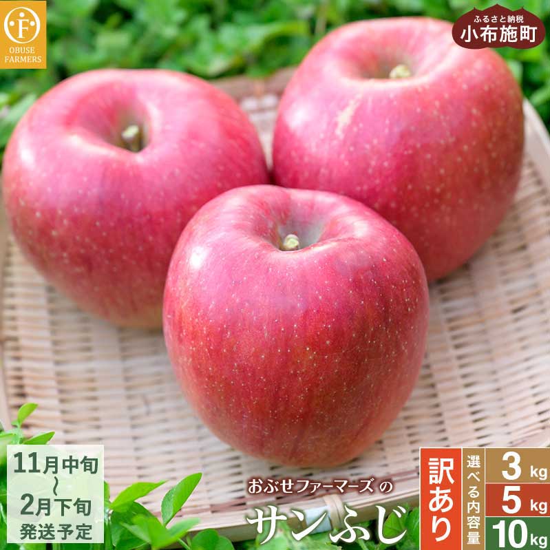 【ふるさと納税】【訳あり】 サンふじ 選べる内容量 約3kg 6～12玉 約5kg 11～18玉 約10kg 26～40玉 ［おぶせファーマーズ］ 果物 フルーツ りんご 不揃い 規格外 家庭用 林檎 リンゴ ふじ 長野県 信州 数量限定 令和7年産 【2025年11月中旬〜2026年2月下旬発送】