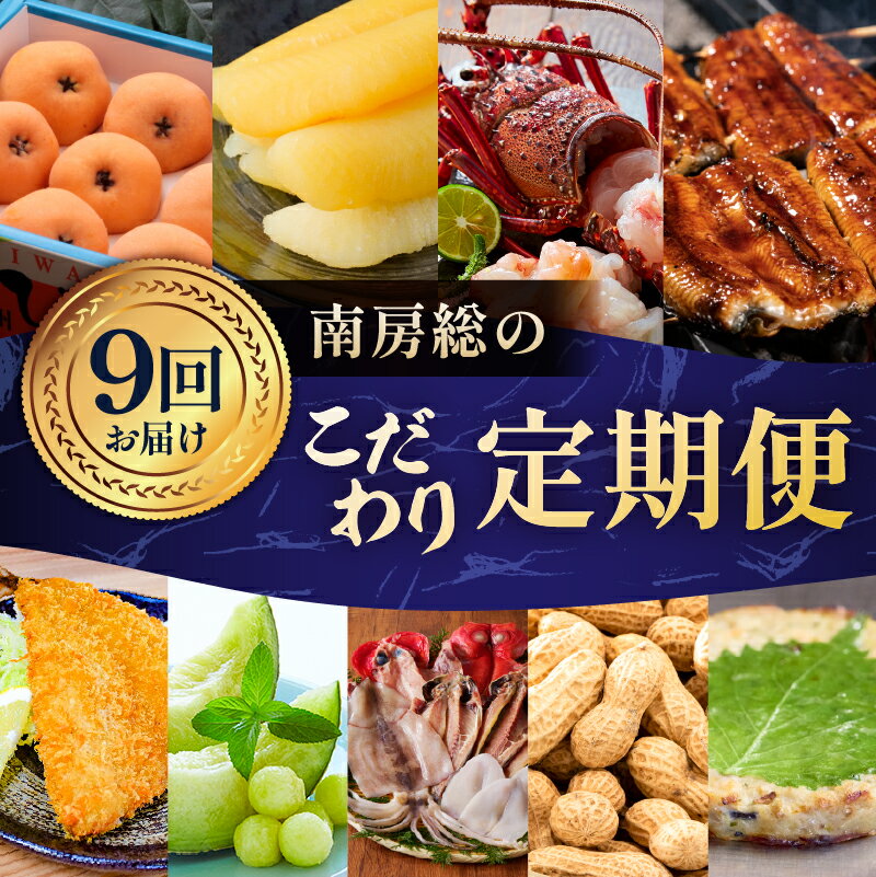 【ふるさと納税】【9回お届けコース】南房総のこだわり定期便 千葉県 南房総市 魚介 海産物 金目鯛 さんが焼 アクアメロン 房州びわ うなぎ 蒲焼 てっぱつ あじフライ 生落花生 伊勢海老 塩数の子 送料無料
