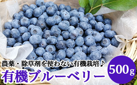 
                  有機ブルーベリー500g【傳九郎農園】
                