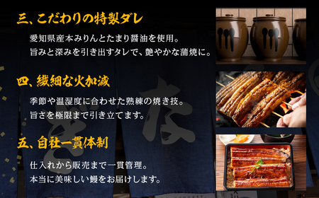 国産若うなぎ 2尾 定期便3回 うなぎ
