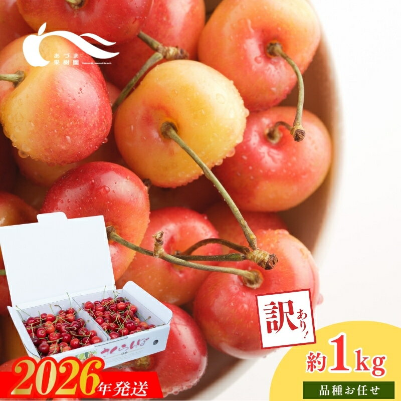 【ふるさと納税】No.2336さくらんぼ佐藤錦又は紅秀峰1kgバラ詰め(S～L玉混合）【2026年発送　先行予約】