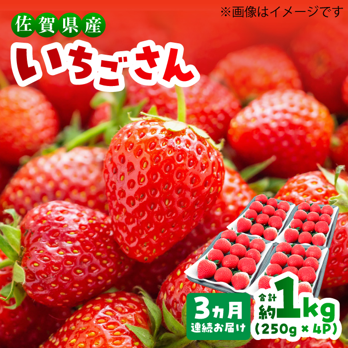 【1月～3月発送】【全3回定期便】いちごさん 計1kg以上（約250g×4P） 吉野ヶ里町/TZファーム [FDF002]