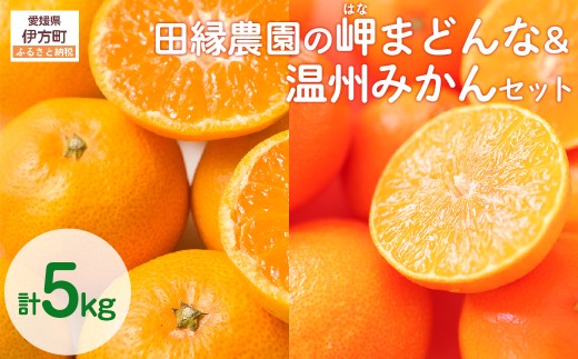 【先行予約】【数量限定】田縁農園の岬（はな）まどんな＆温州みかんセット （2026年11月25日より順次発送） 【 ふるさと納税 人気 おすすめ ランキング みかん ミカン 蜜柑 温州みかん 温州ミカン まどんな はなまどんな フルーツ 果物 愛媛県産 田縁農園 愛媛県 伊方町 送料無料 】 IKTA005