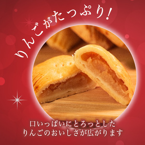 期間限定 手づくり アップルパイ 10個 小分け 個包装 おすそ分け 国産 りんご 林檎 リンゴ アップル パイ お菓子 洋菓子 焼菓子 デザート スイーツ おやつ 常温 配送 冬季限定 限定 プレゼ