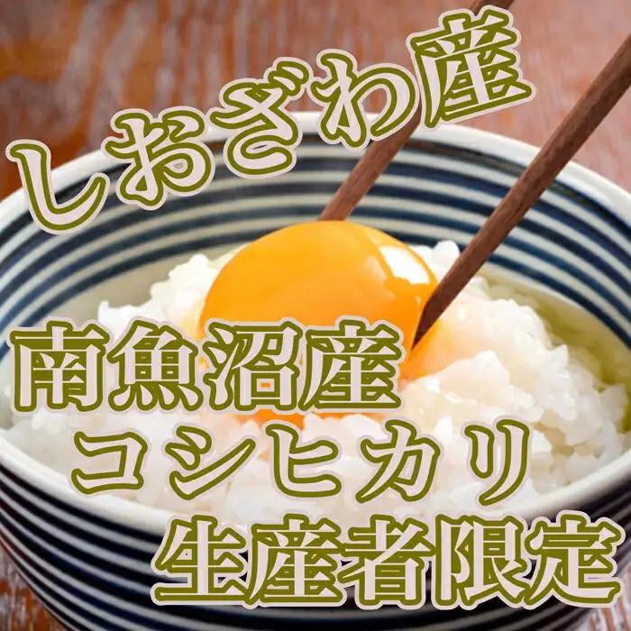 【令和7年産】【定期便／15kg×9ヶ月】生産者限定 契約栽培 南魚沼しおざわ産コシヒカリ【定期便 銘柄米 ブランド米 精米 こしひかり コシヒカリ 魚沼産 新潟米 産地直送 お米 米 こめ コメ ご