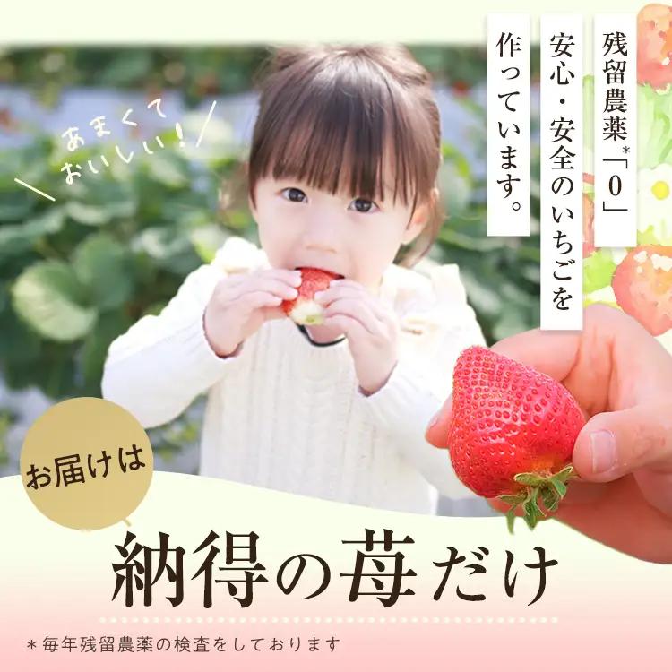 ＜先行予約受付中！2027年1月中旬以降順次発送予定＞冷凍 あまおう(計2kg・1kg×2袋) いちご イチゴ 苺 あまおう 冷凍いちご 冷凍イチゴ 国産 福岡県 果物 フルーツ アイス 冷凍フルーツ