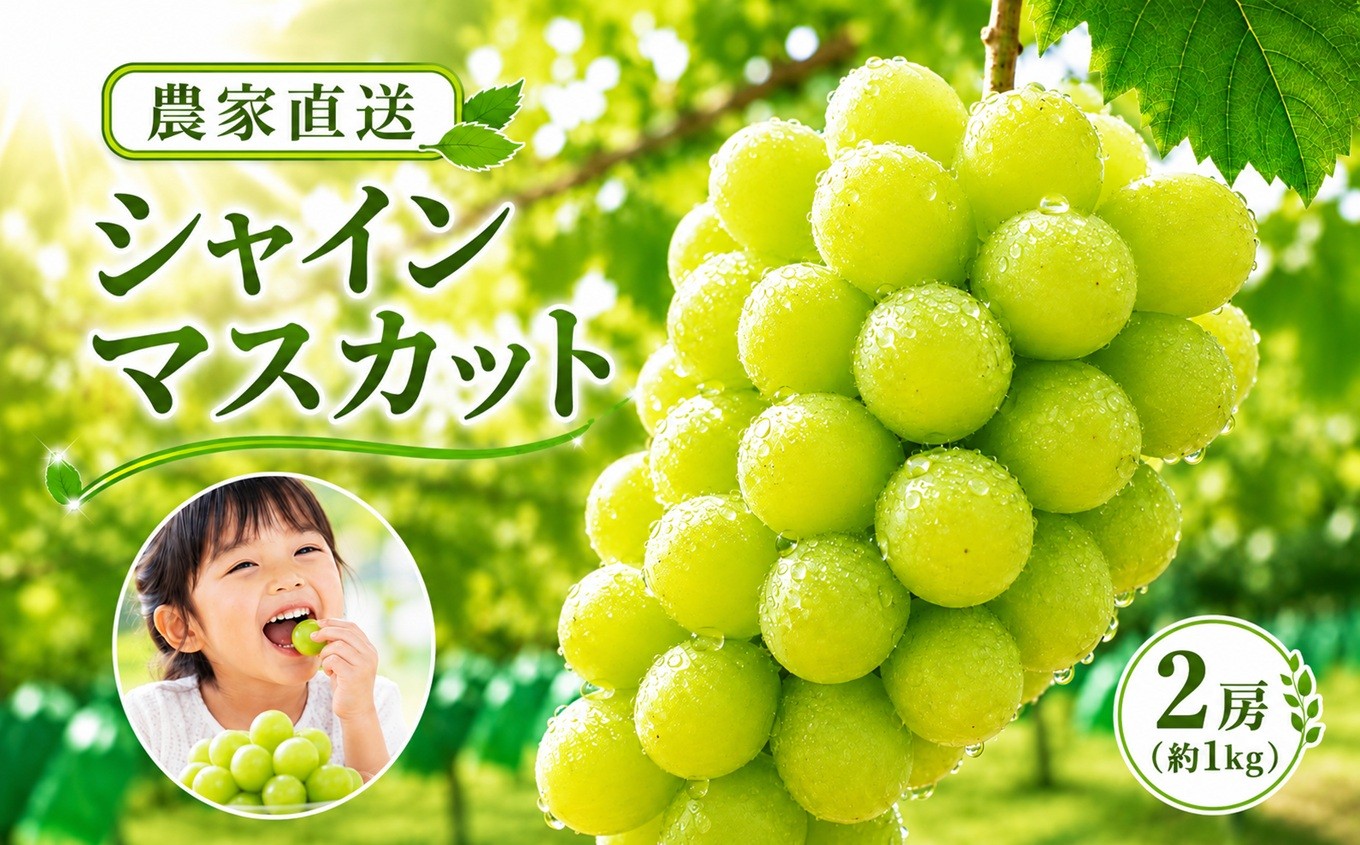 
                  【2026年先行予約】シャインマスカット 1kg【農家直送】 | 果物 くだもの フルーツ ぶどう 葡萄 信州 南信州 長野県 飯田市
                