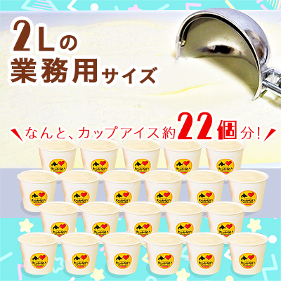 【業務用】稚内牛乳アイスクリーム2000mlバニラ×宗谷の塩2個セット【配送不可地域：離島】