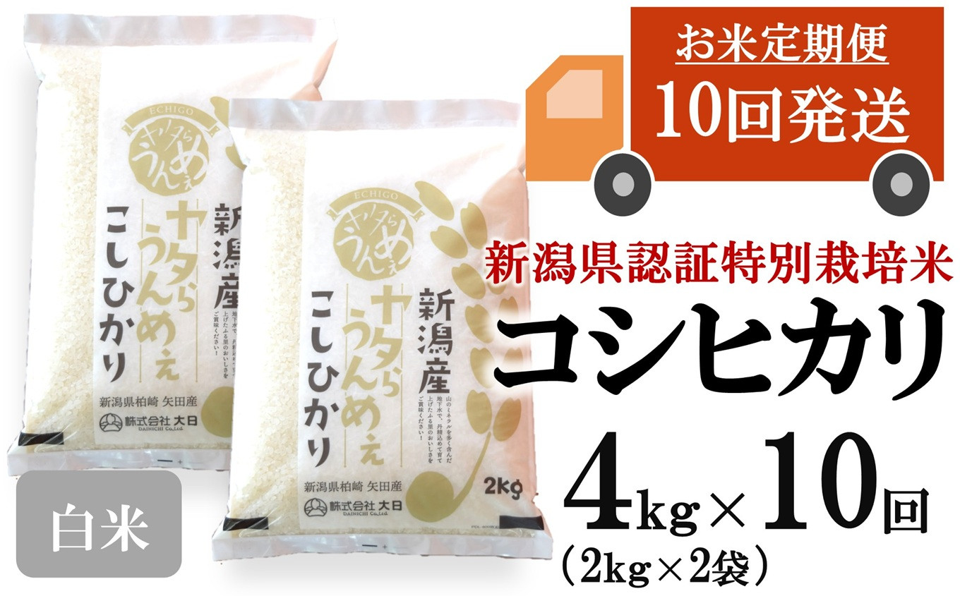 
            【先行予約・令和7年産新米・10ヶ月定期便】コシヒカリ 白米 4kg（2kg×2袋）×10回（計 40kg）ヤタらうんめぇお米 水田環境鑑定士在籍[Y0510]
          
