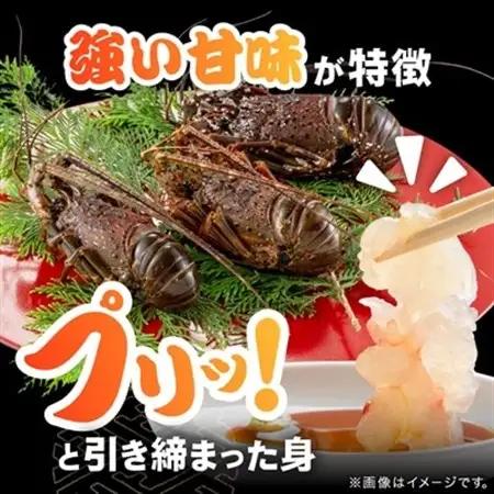 活〆冷凍伊勢海老600g【配送不可地域：離島】【1607625】
