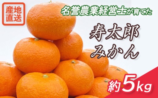 寿太郎 みかん 約 5kg M ～ 2L 先行予約 【 2027年1月中旬より 順次発送 】静岡県産 産地 直送 温州 みかん 柑橘 オレンジ  フルーツ 果物 ミカン 数量 限定 沼津市 はらみかん 農園