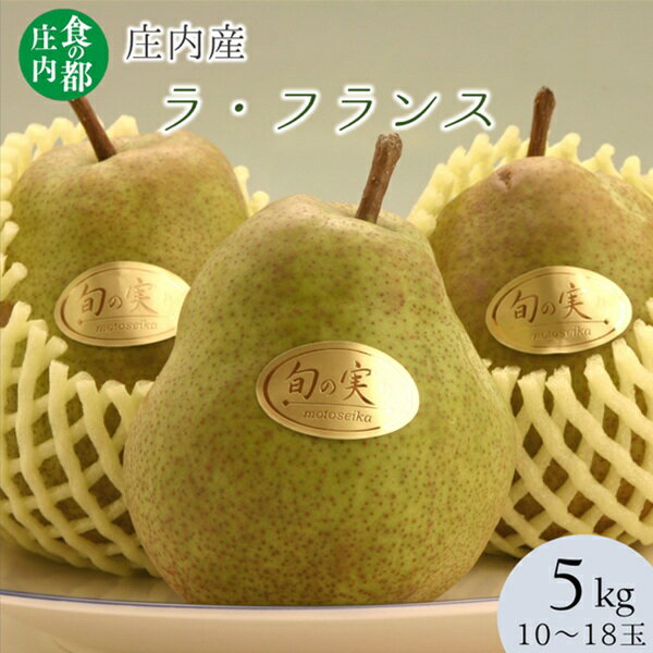 【ふるさと納税】庄内の洋梨「ラ・フランス」約5kg　※11月上旬～発送（有限会社庄内旬青果）