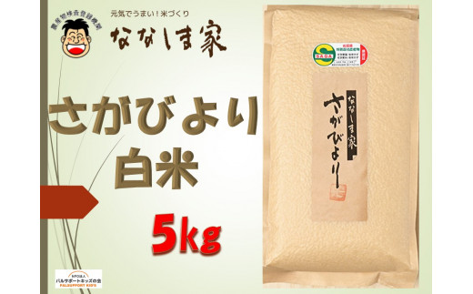 
【佐賀県産米】ななしま家 さがびより5kg
