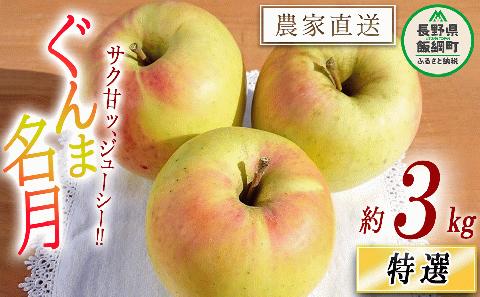 りんご ぐんま名月 特選 3kg やまじゅうファーム 沖縄県への配送不可 2024年11月下旬頃～2024年12月上旬頃まで順次発送予定 令和6年度収穫分 減農薬 長野県 飯綱町 [0527]