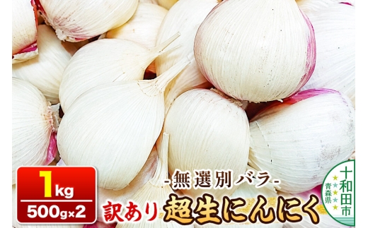 訳あり 超生にんにく 無選別バラ1kg（500g×2） 青森県産 [稀少 ニンニク 直送 高糖度 甘い]