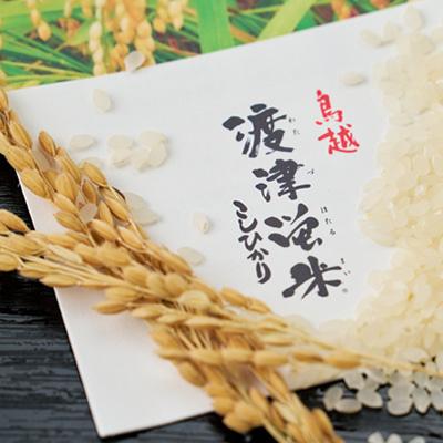 ふるさと納税 白山市 《高級日本料理店採用》蛍の里「渡津米」白米5kg・栽培期間中農薬化学肥料70%減 |  | 02