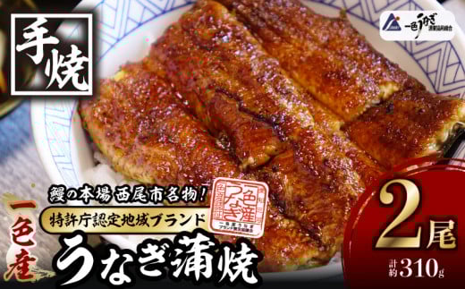 【通常発送】一色産うなぎ　炭焼き蒲焼2尾　職人手焼き  鰻 ウナギ うなぎ 蒲焼 国産 うなぎ蒲焼 タレ付き たれ 国産うなぎ 蒲焼き うな丼 丑の日 土用の丑の日 ・I034-20