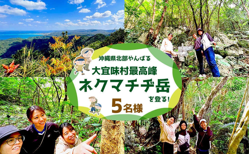 沖縄県北部やんばる・大宜味村最高峰ネクマチヂ岳を登る【5名様】