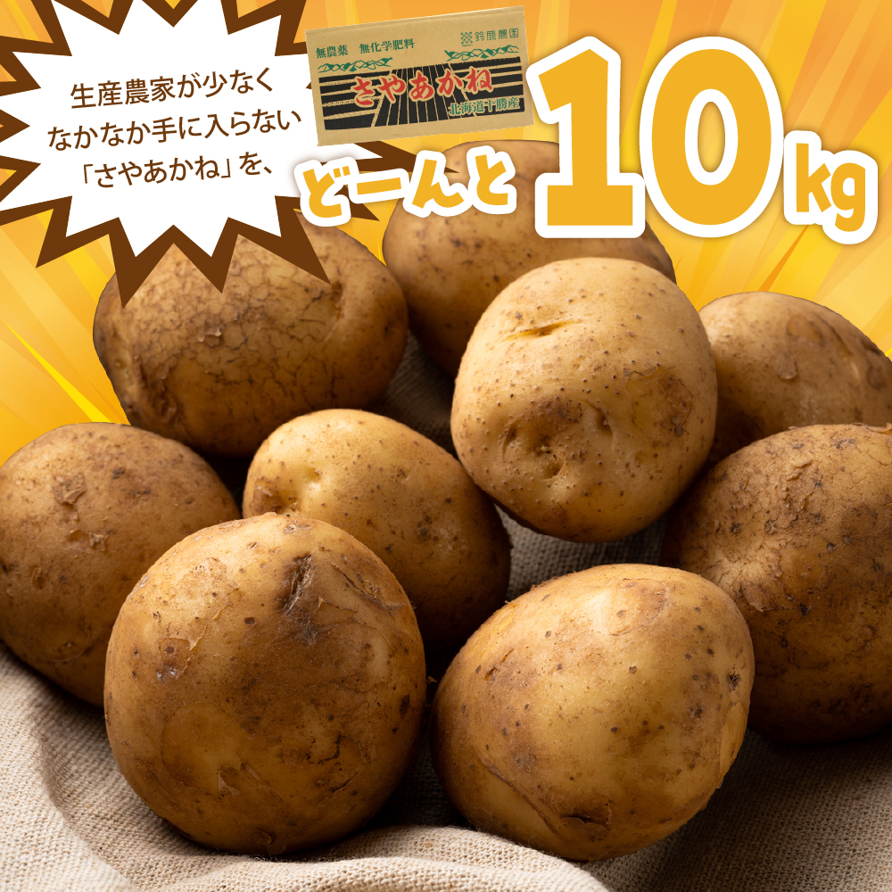 【先行予約】【2024年12月より配送】北海道十勝芽室町 さやあかね  Lサイズ 10kg me049-004c-24