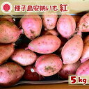 【ふるさと納税】 種子島 安納いも 「 紅 」 5kg こむぎ屋工房