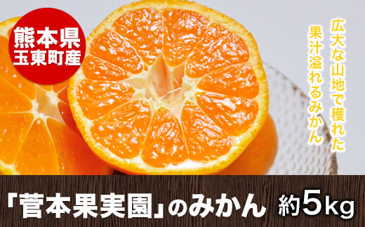 『菅本果実園』のみかん約5kg(2S-Lサイズ) 菅本さんのみかん『菅本果実園』《11月中旬-1月中旬頃出荷》【日付指定不可】---gkt_sgm_8_5kg---