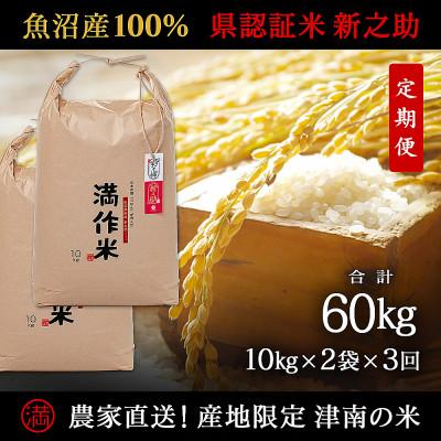 ふるさと納税 津南町 【毎月定期便】農家直送【特栽魚沼産新之助 精米 合計60kg】20kg(10kg×2袋 )全3回