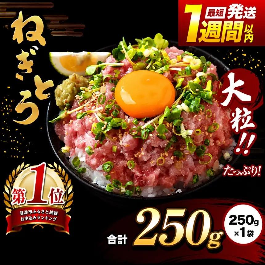 【 簡易包装 】ネギトロ 鮪 250g×１袋 | まぐろのたたき ねぎとろ 清幸丸水産 君津市