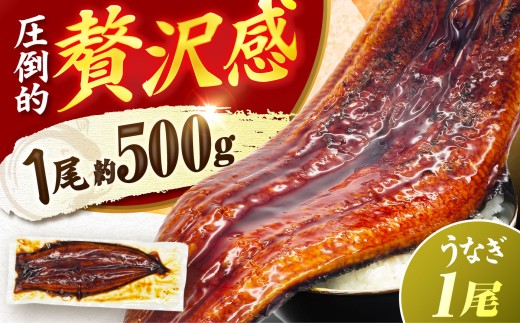 【1尾約500g】うなぎ蒲焼 超特大×1尾　広川町 / 株式会社イールファクトリー [AFBS031]
