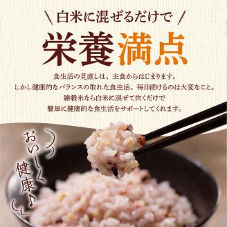 国内産 GABA雑穀米 230g×6個 計1380g_日本雑穀アワード 2年連続 金賞 受賞 GABA 雑穀米 230g 1380g 国産 雑穀 16種 ブレンド 発芽 甘み 栄養 バランス フィチン
