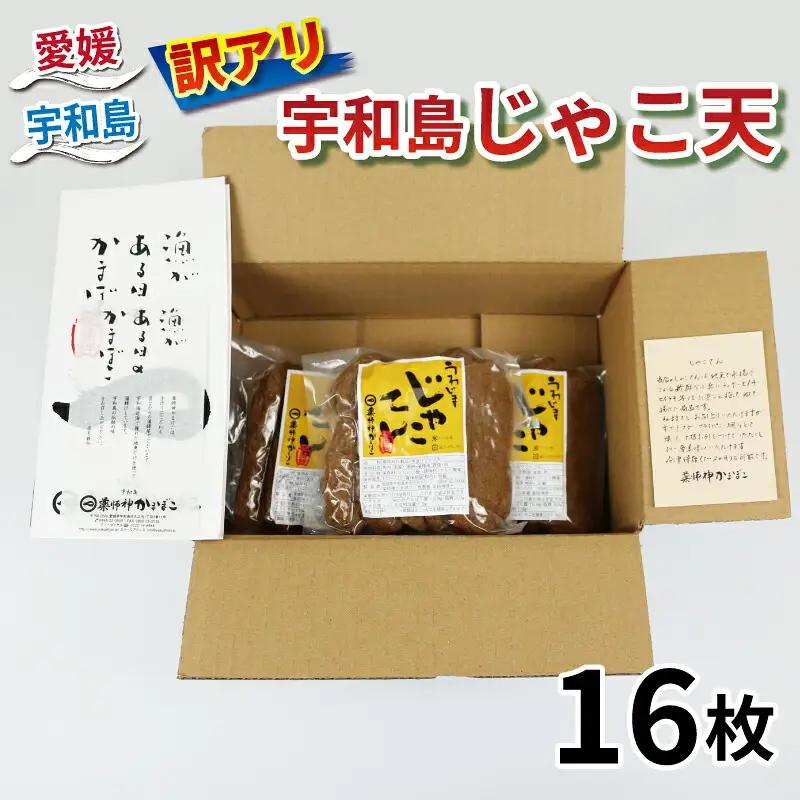 訳あり じゃこ天 16枚 薬師神かまぼこ 練り物練り物 C010-019008