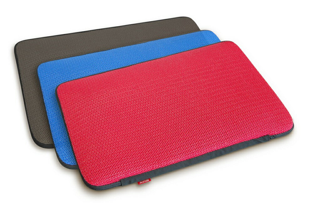 【ふるさと納税】G4 キャンパスクッション