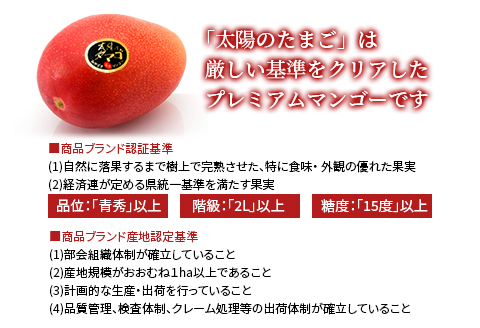 《2026年発送先行予約》【数量・期間限定】宮崎県産完熟マンゴー「太陽のタマゴ」A3L(2玉入り) 宮崎県産 国産 太陽のタマゴ マンゴー 完熟マンゴー 完熟 A3L 2玉 フルーツ 果物 くだもの 