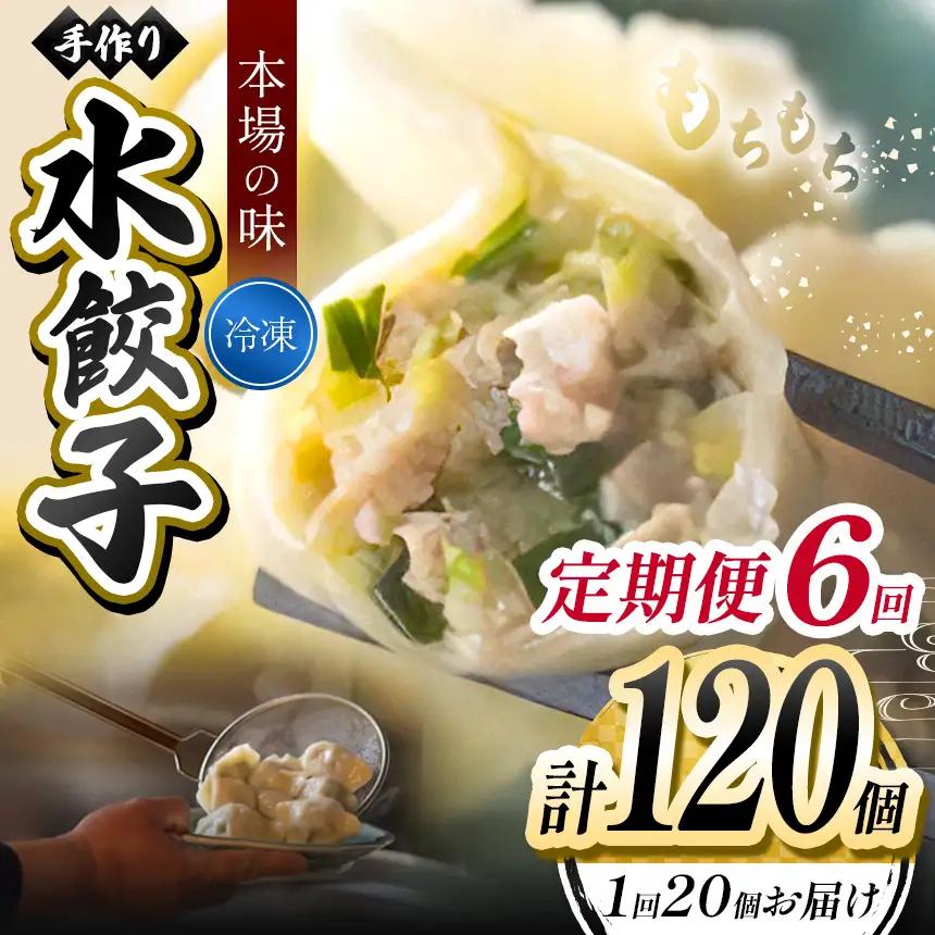 6回 定期便 手作り 水餃子  ( 冷凍 ) 20個 【 手作り餃子の店 吉春 】 |  冷凍餃子 地元野菜 ・ 国産素材 を使用 