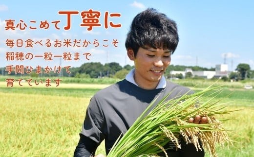 こしひかり お米 米 こめ コシヒカリ 白米 精米