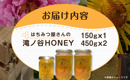 はちみつ屋さんの滝ノ谷HONEY 150gx1, 450gx2 MBAW007