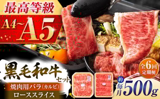 【全6回定期便】くまもと黒毛和牛「藤彩牛」2種の食べ比べ計500g 3900 / 黒毛和牛 牛肉 和牛 ブランド牛 ブランド和牛 牛肉 ブランド牛肉 熊本県産 国産 人気【株式会社フジチク】 [BHAD037]