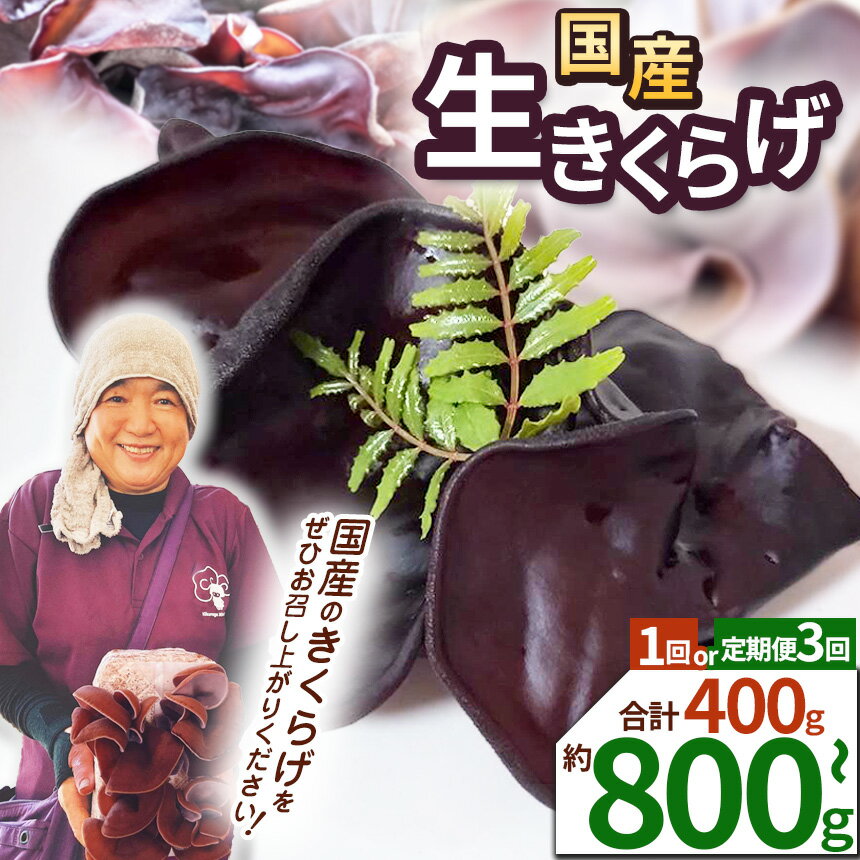 【ふるさと納税】【選べる定期便】【先行予約】【期間限定】【選べるピース数】生きくらげ 200g ともちゃん農園 | 生きくらげ きくらげ 食物繊維 鉄分 カルシウム ビタミンD カリウム アミノ酸 低カロリー ダイエット中でも安心 高血圧予防 ふるさと 納税栃木県 那珂川町