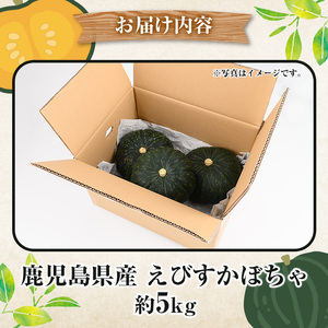 ＜先行予約受付中！2025年5月以降発送予定＞鹿児島県産 えびすかぼちゃ(約5kg) 国産 野菜 かぼちゃ カボチャ 南瓜 煮物 天ぷら バーベキュー BBQ スイーツ お菓子 期間限定【松永青果】a