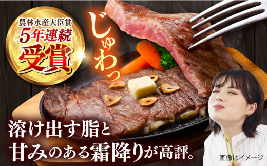 【数量限定20セット】サーロインステーキ計約500g（約250g×2枚）  ステーキ すてーき ステーキ肉 すてーき肉 牛肉 国産 ブランド 絶品 高級 極上 人気 おすすめ オススメ 葉山牛 厚切り