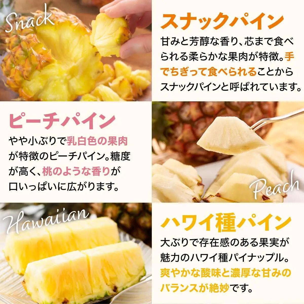 パイナップル パイナップル 詰め合わせ 約4kg 【訳あり】パイン