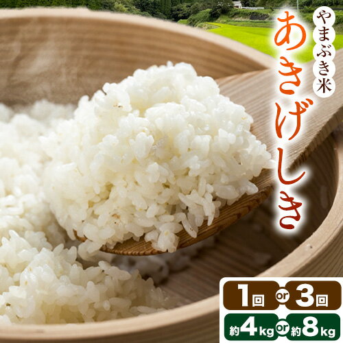 【ふるさと納税】やまぶき米 (あきげしき) 選べる 4kg 8kg 定期便 あり 農事組合法人 やまぶきの里《11月上旬以降出荷予定》食品 米 白米