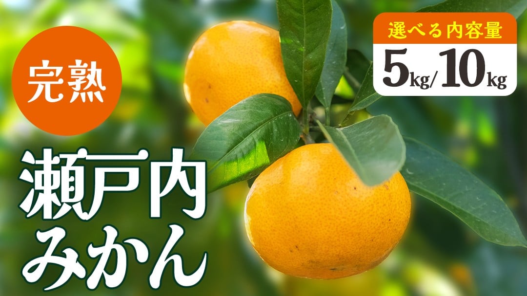 
                  瀬戸内 島の 完熟 みかん 詰め合わせ 5kg 10kg 選べるサイズ 12月発送開始 広島 大崎上島 瀬戸内 離島 濃厚 甘い 柑橘 フルーツ 果物 くだもの お取り寄せ ミカン 贈答用 ギフト 産地直送 岩崎農園 
                