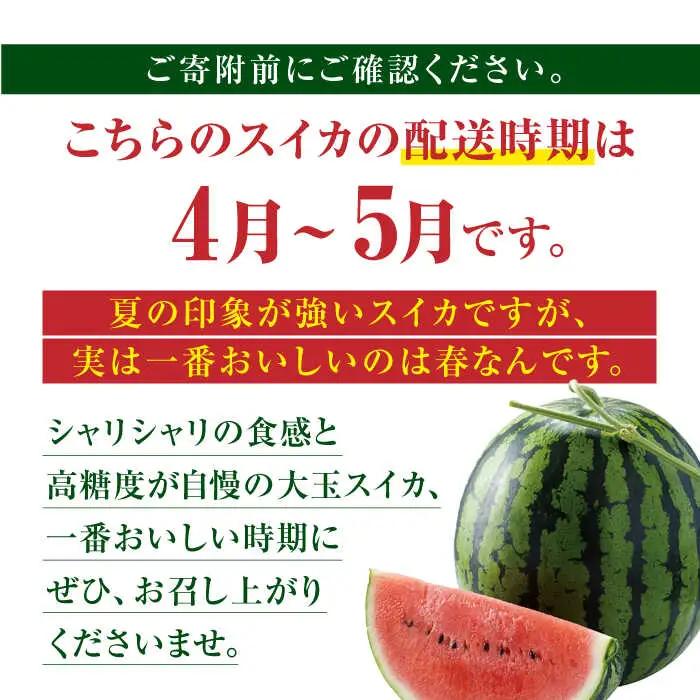 熊本スイカ先行予約 大玉すいかLサイズ西瓜スイカZCM001