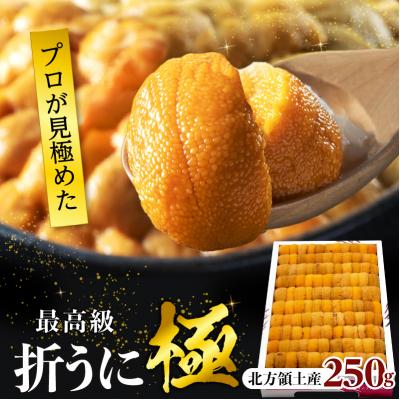 ふるさと納税 浜中町 ≪プロ厳選≫最高級折うに(極)計250g_H0014-007