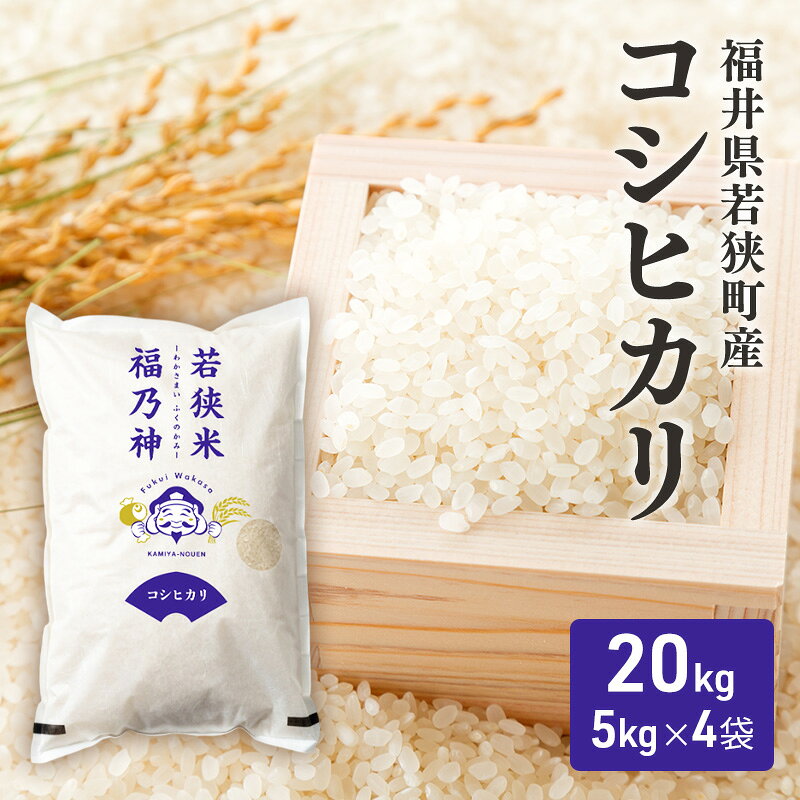 【ふるさと納税】令和7年産福井県若狭町コシヒカリ（一等米）20kg（神谷農園） 5kg×4袋 お米 ブランド米 銘柄米 ご飯 おにぎり お弁当 産地直送 和食 主食 　お届け：2026年10月以降発送