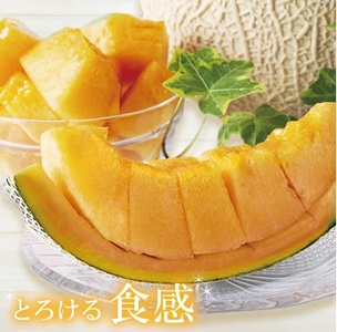 SB0910　美味しいメロンの食べ比べ 「秀品 青肉メロン＆赤肉メロン」　約5kg(4～6玉入)
