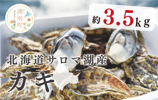 ≪先行予約2025年11月から発送≫北海道サロマ湖産　カキ約3.5kg