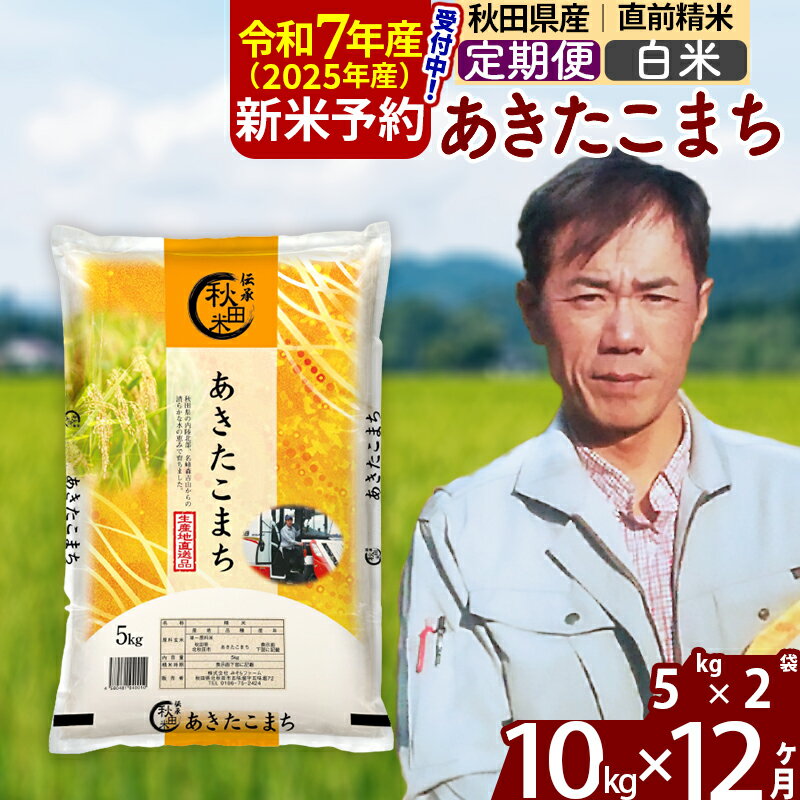 【ふるさと納税】※令和7年産 新米予約※《定期便12ヶ月》秋田県産 あきたこまち 10kg【白米】(5kg)2025年産 お届け周期調整可能 隔月に調整OK お米 みそらファーム